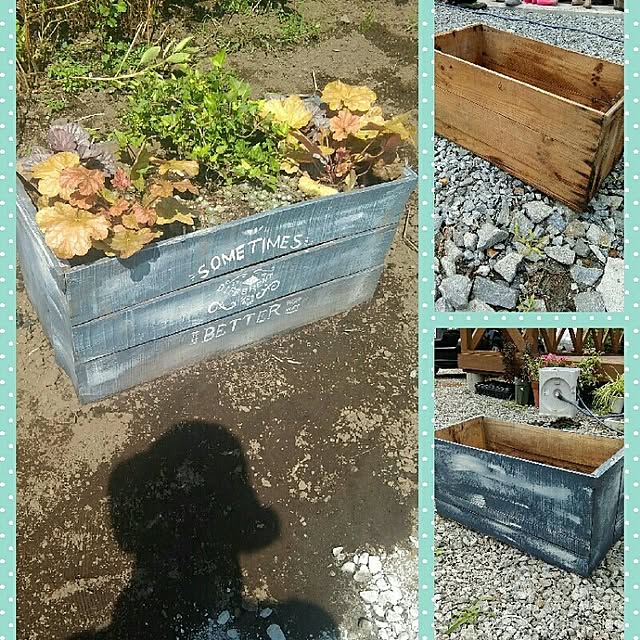 tsumugi_gardenさんの実例写真
