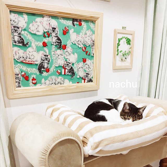 nachuさんの実例写真
