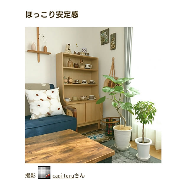 capiteruさんの実例写真