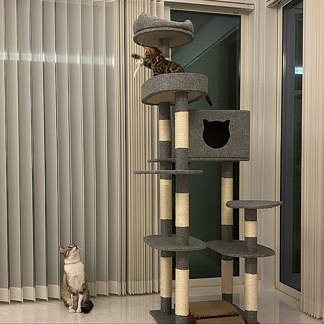 nyaさんの実例写真