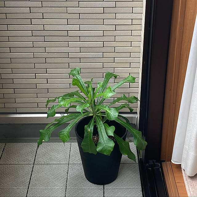 matthewさんの実例写真