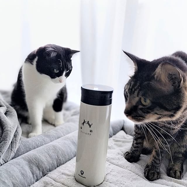 hihaさんの部屋