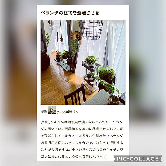yasuyo66さんの実例写真