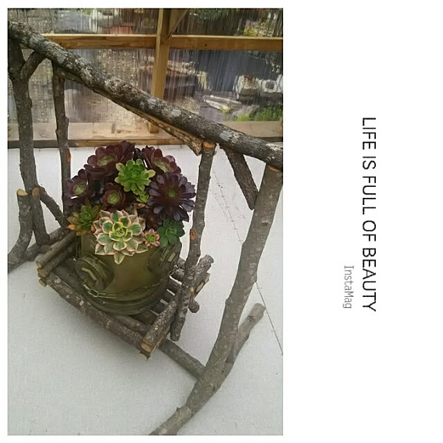 部屋全体/インスタと同じpic/多肉植物/RC三重支部/手作り...などのインテリア実例 - 2017-05-10 21:05:30