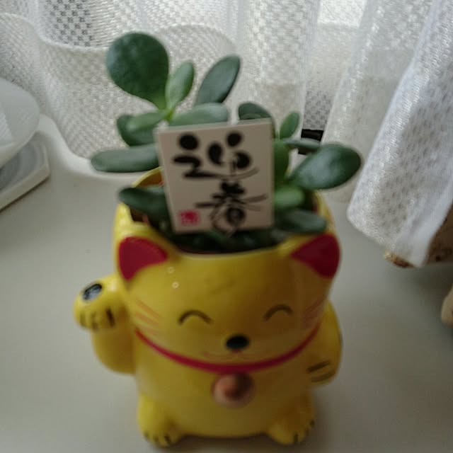 DoDさんの実例写真