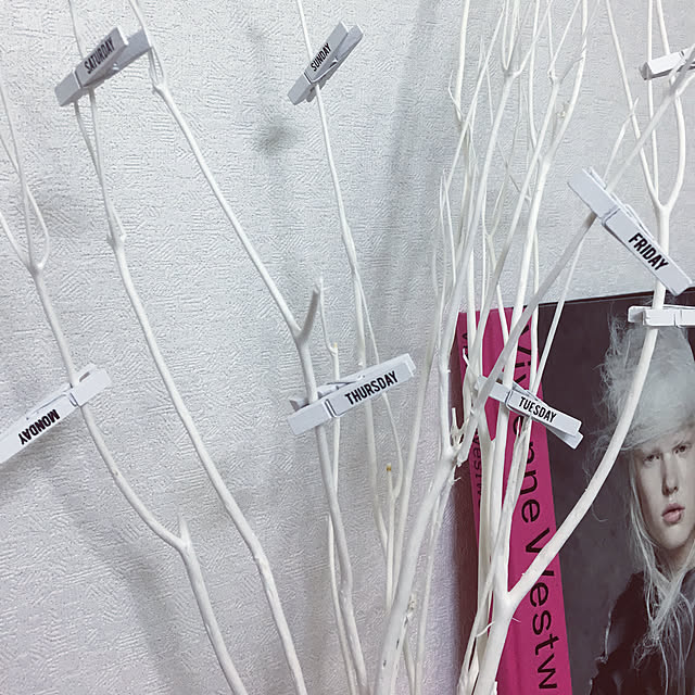 Chamiさんの実例写真