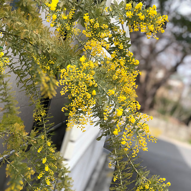 KaiKaiさんの実例写真