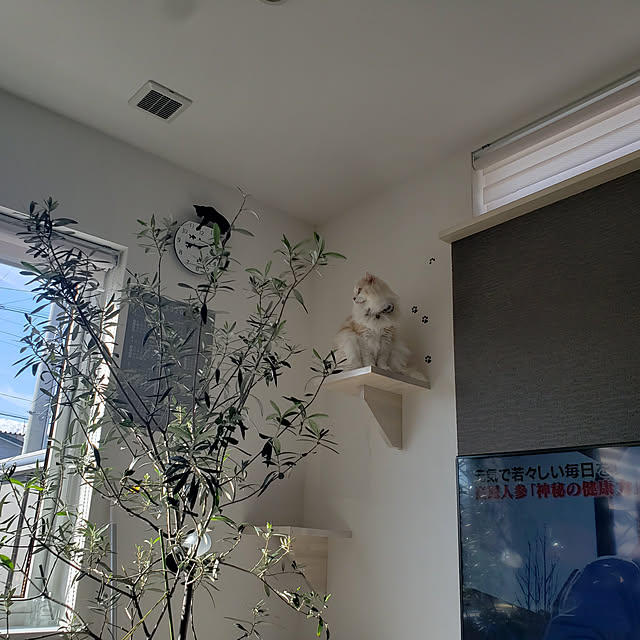 megu.catさんの実例写真