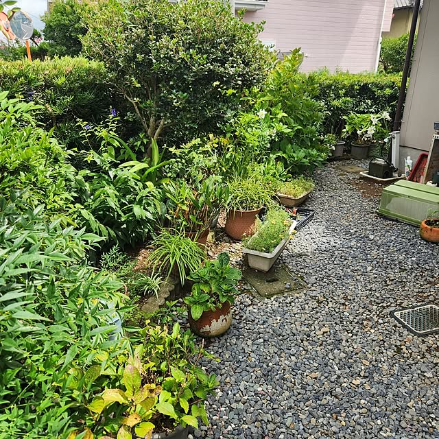fuchan0930さんの部屋