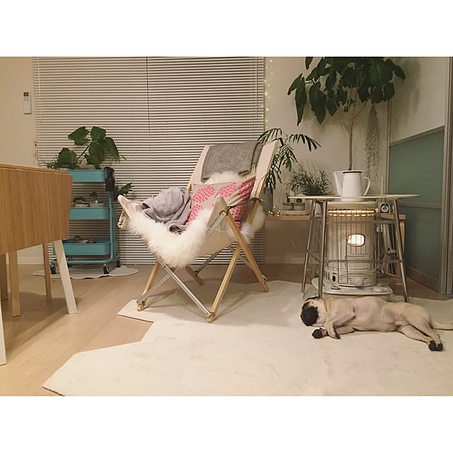 YUIさんの実例写真