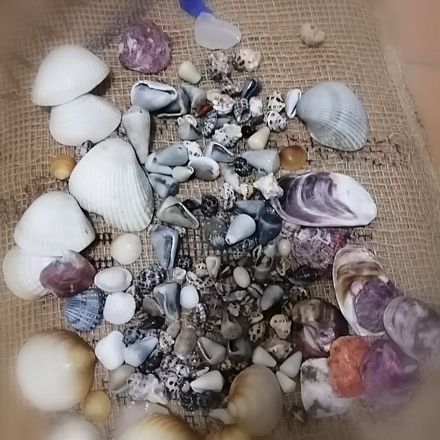 teruminさんの部屋