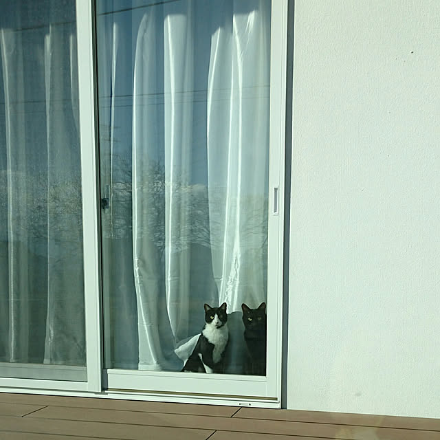 shiiiさんの実例写真
