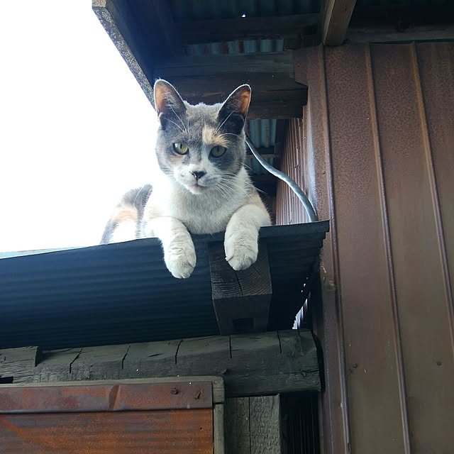 tomo1220さんの実例写真