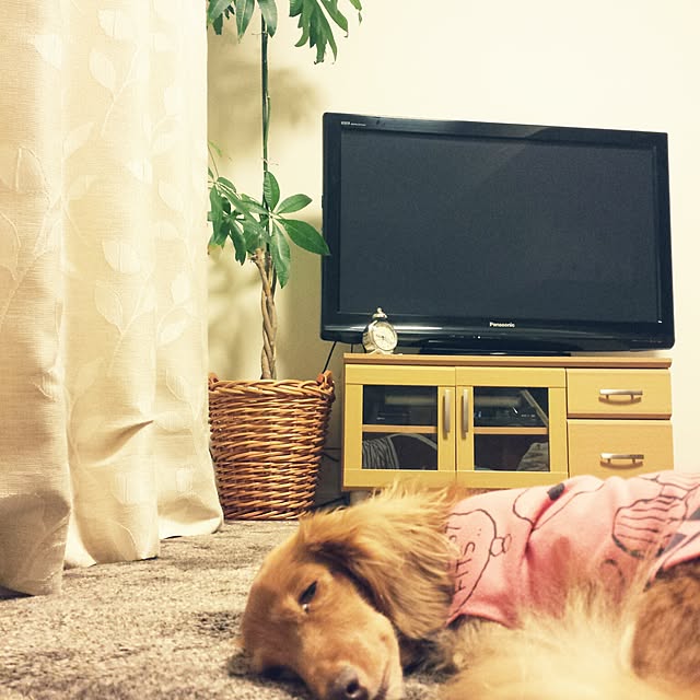 sumireさんの実例写真