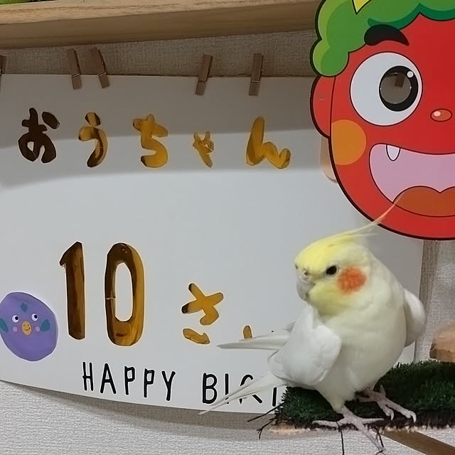 toratanさんの部屋