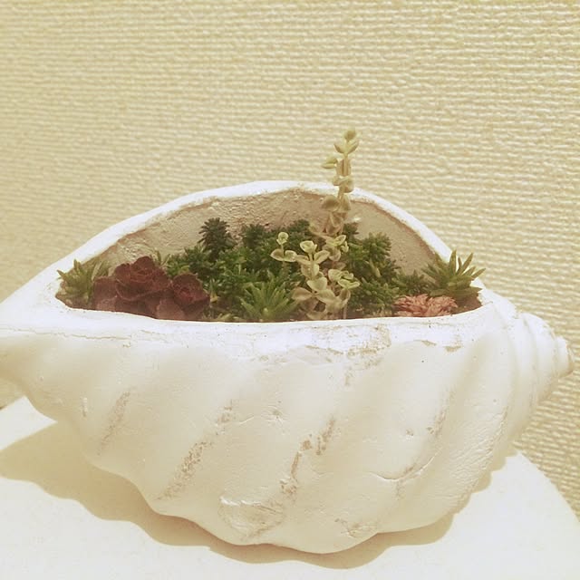 Christianaさんの実例写真