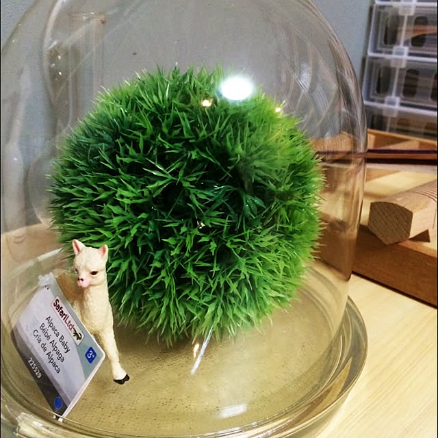 Ryokoさんの実例写真