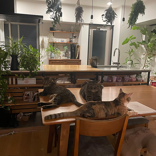 sakkiy37さんの実例写真