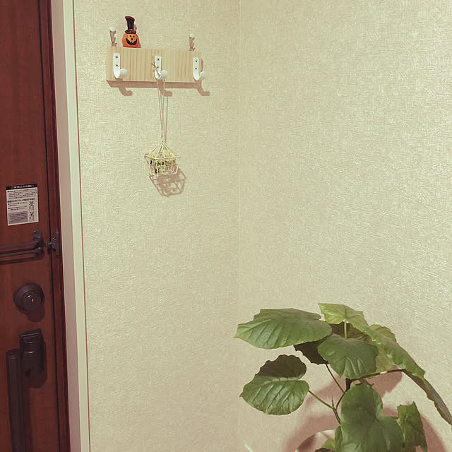 mameyaさんの実例写真