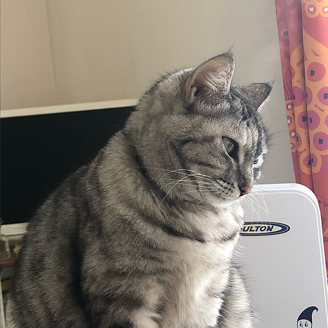 COCOさんの実例写真