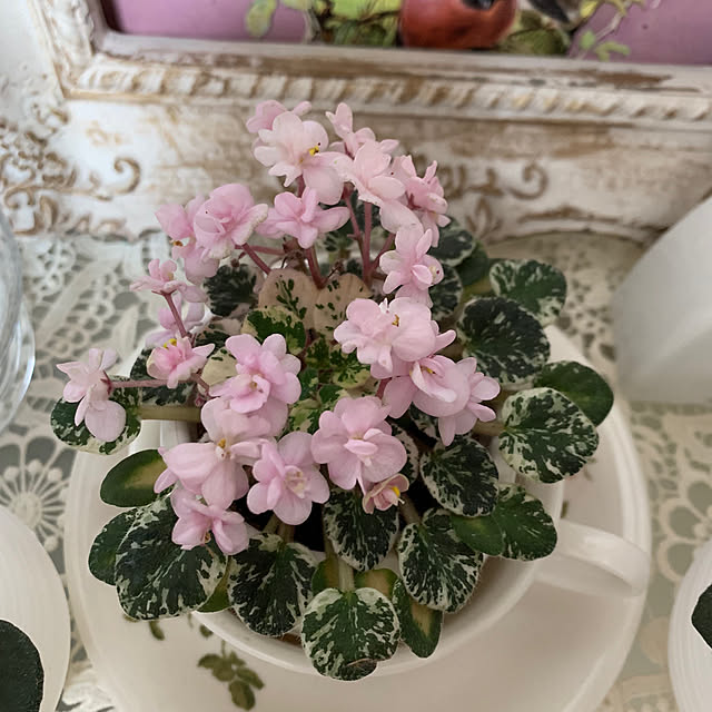 AYUKOさんの実例写真