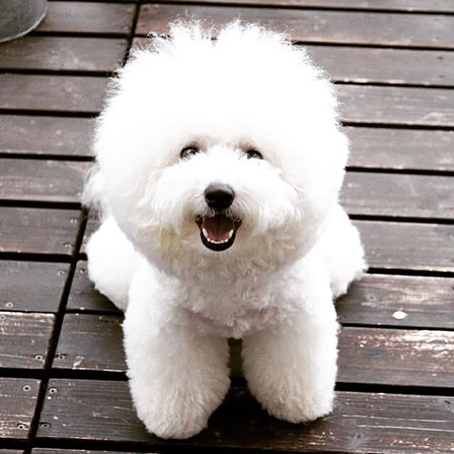 happy_bridgeさんの実例写真