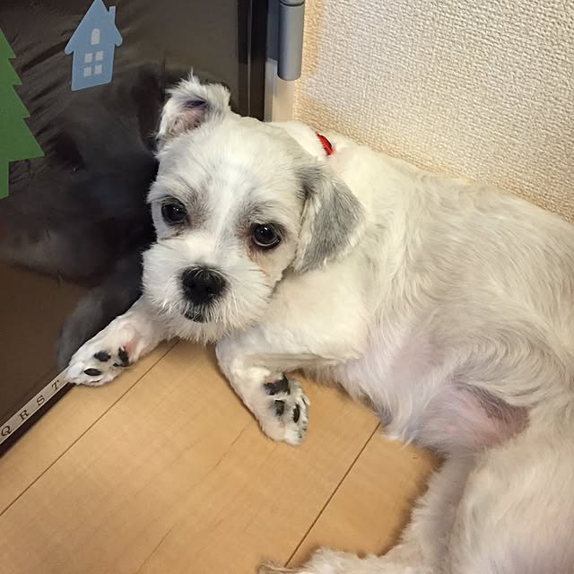 emiさんの実例写真