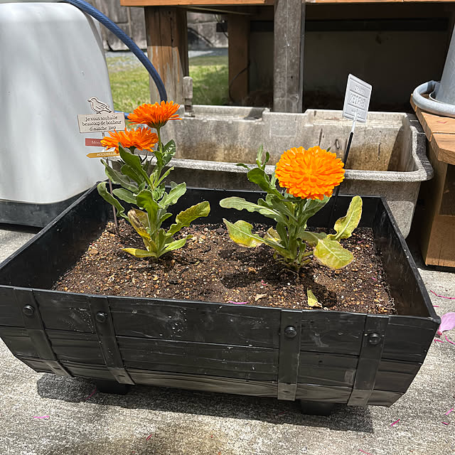 mogumoguさんの部屋