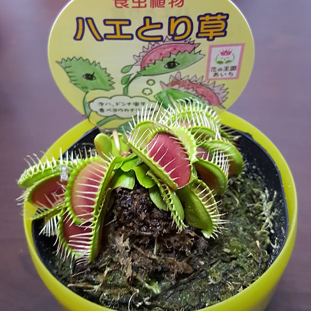 mimiさんの実例写真