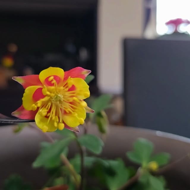NOAHさんの実例写真