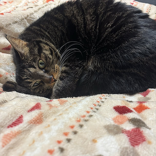 momocchiさんの部屋