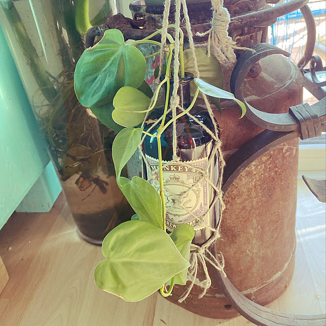 Amy_zizさんの実例写真