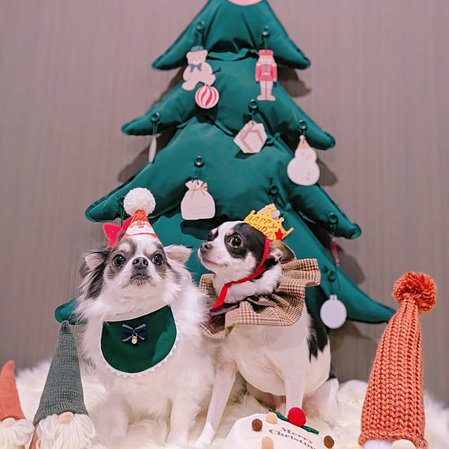bjhorusさんの部屋