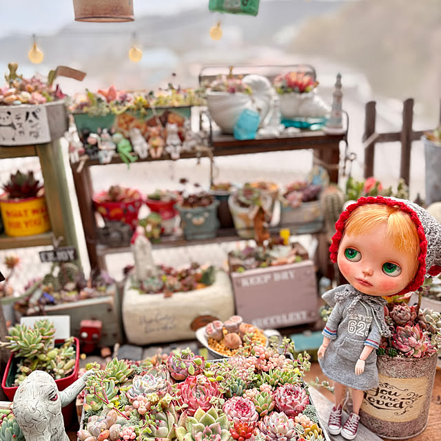 カスタムブライスのおすすめ商品とおしゃれな実例 | RoomClip カスタムブライスのおすすめ商品とおしゃれな実例 | RoomClip