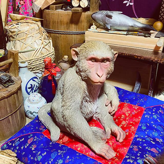 takakuzenさんの実例写真