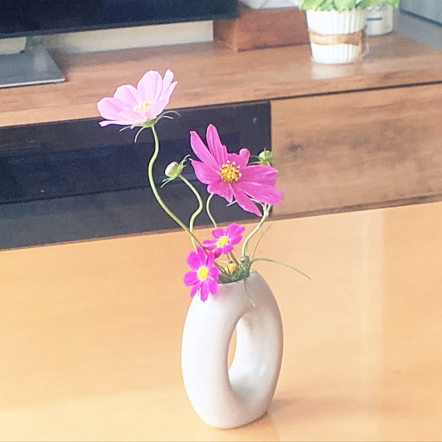 riseruさんの実例写真