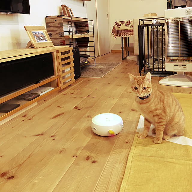 takakoさんの実例写真