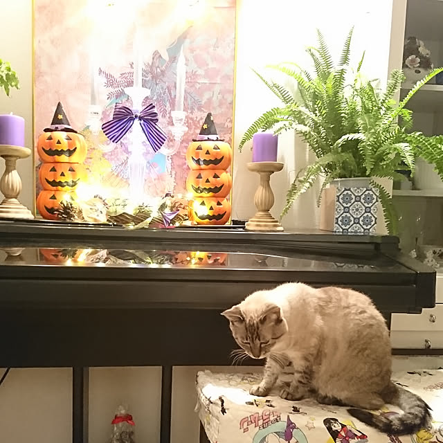 bonobono54さんの実例写真