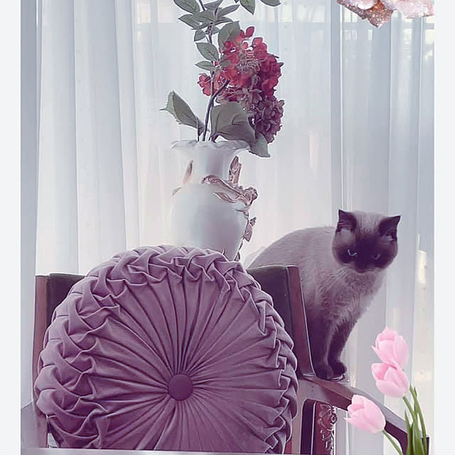 Nylさんの実例写真
