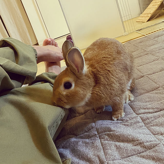 Natsuさんの実例写真