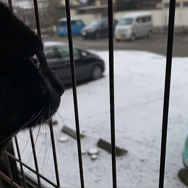 rioさんの実例写真