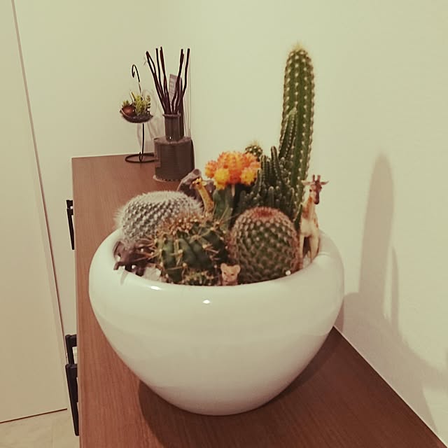 実例写真