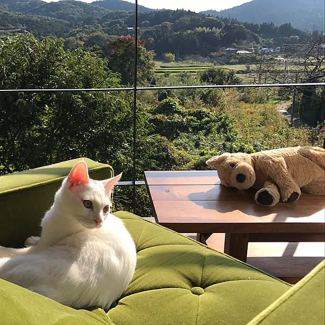 sakurasakuさんの実例写真