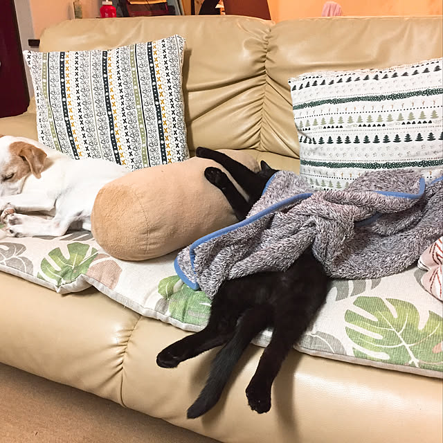 nanaさんの実例写真