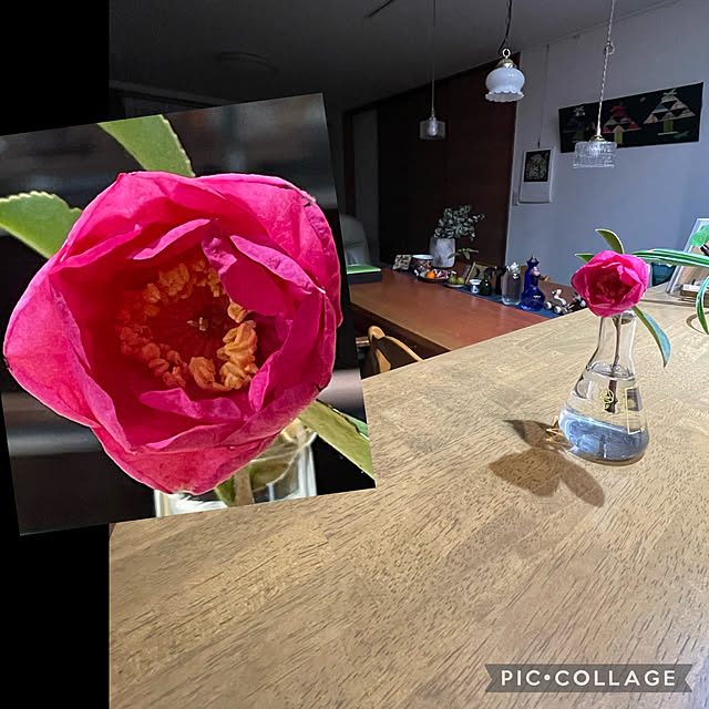 buchiさんの実例写真