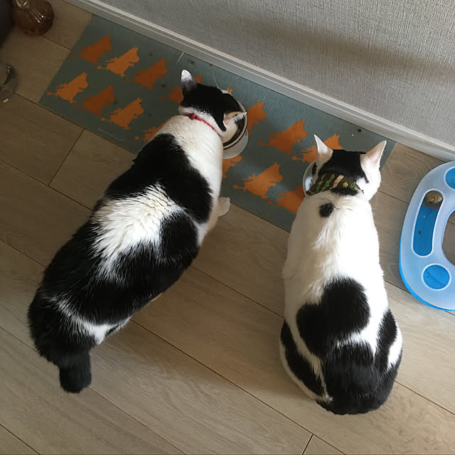 hanaさんの実例写真
