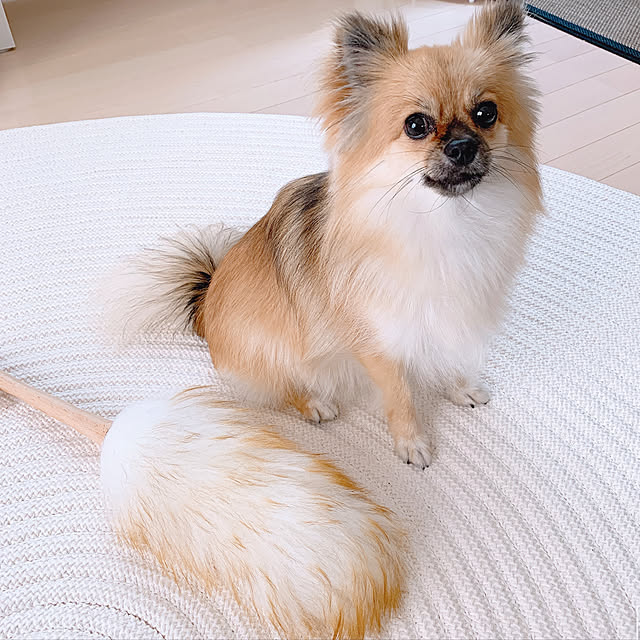 mimiさんの実例写真