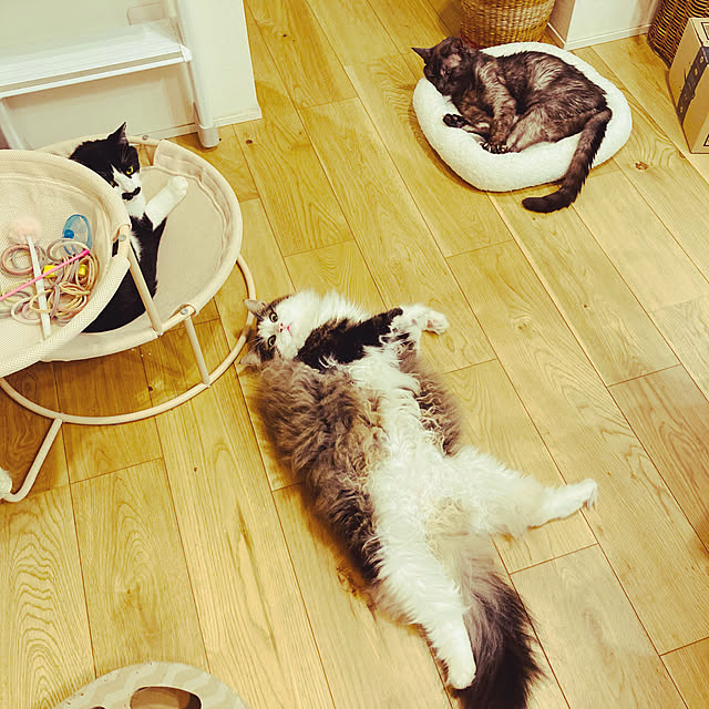 sakura_171220さんの実例写真