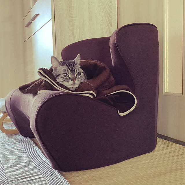 richanさんの実例写真