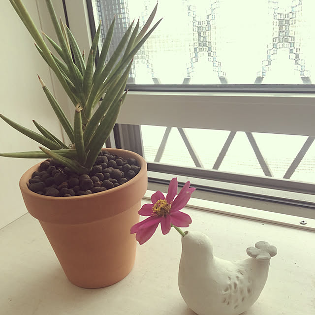 maamaさんの実例写真